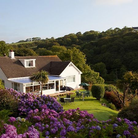 Mellieha Guest House Narberth Exterior foto
