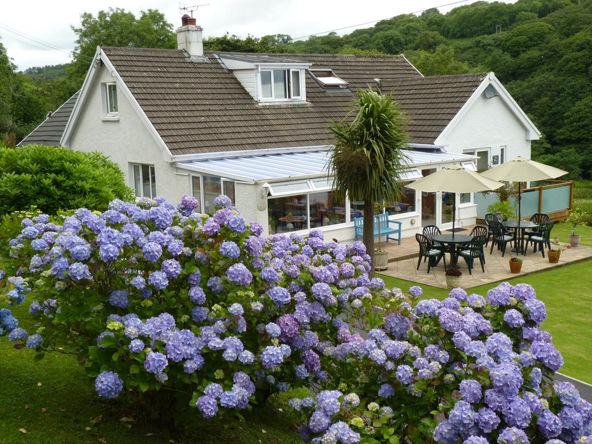Mellieha Guest House Narberth Exterior foto